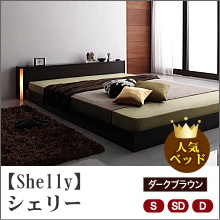 【Shelly】シェリー
