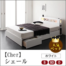 【Cher】シェール