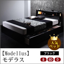 【Modellus】モデラス