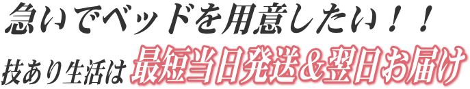 スピード発送−最短翌日お届け!